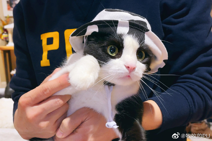 豆豆频道 作品封面