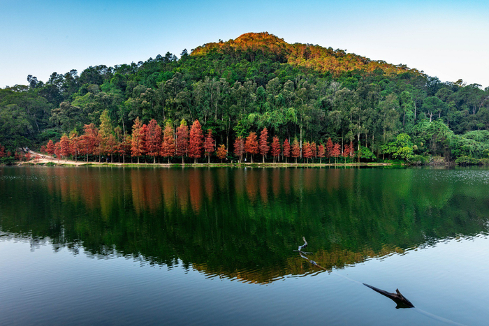 剪辑练习 — 治愈Vlog·第8集 缩略图