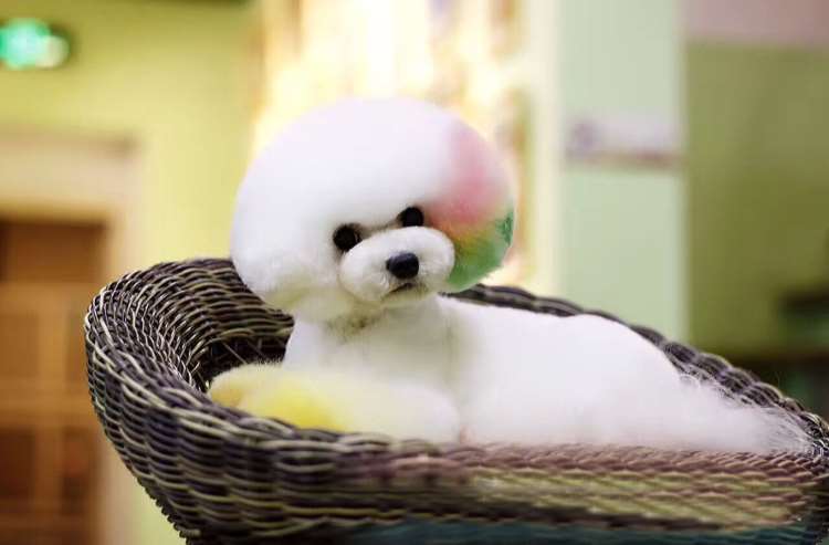 一镜到底 — 运动挑战·轻纪录 缩略图