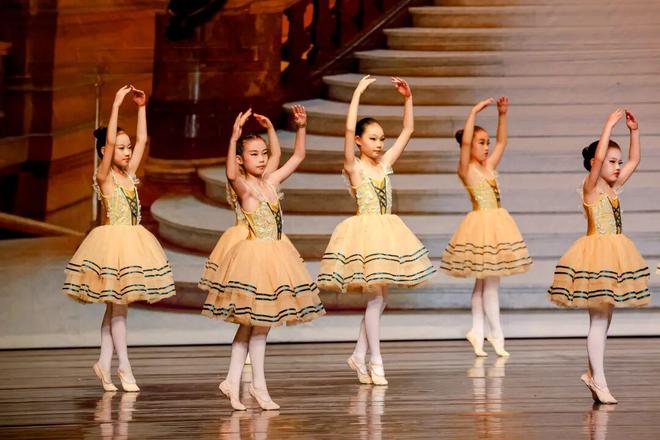 向阳影像社 头像